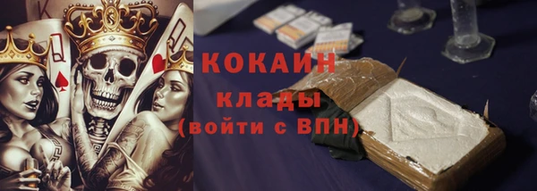 прущий лед Богданович