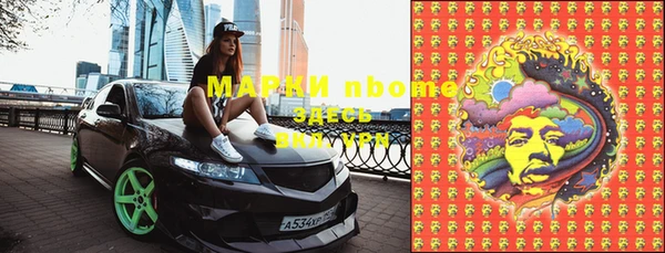 прущий лед Богданович