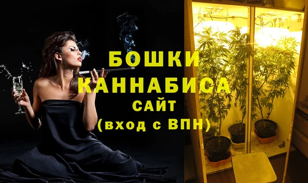 прущий лед Богданович