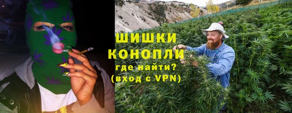 прущий лед Богданович