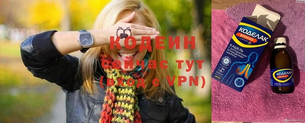 прущий лед Богданович