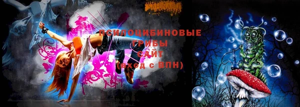 прущий лед Богданович