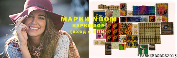 амф Богородицк