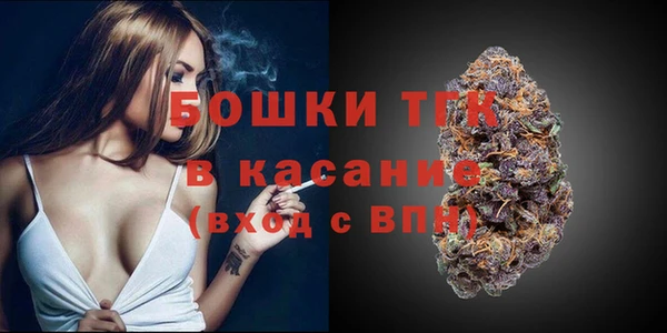 амф Богородицк