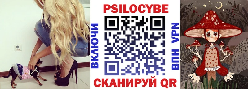 Галлюциногенные грибы прущие грибы где купить наркоту Йошкар-Ола